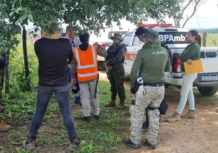 Operação autua 227 hectares por desmatamento na Paraíba