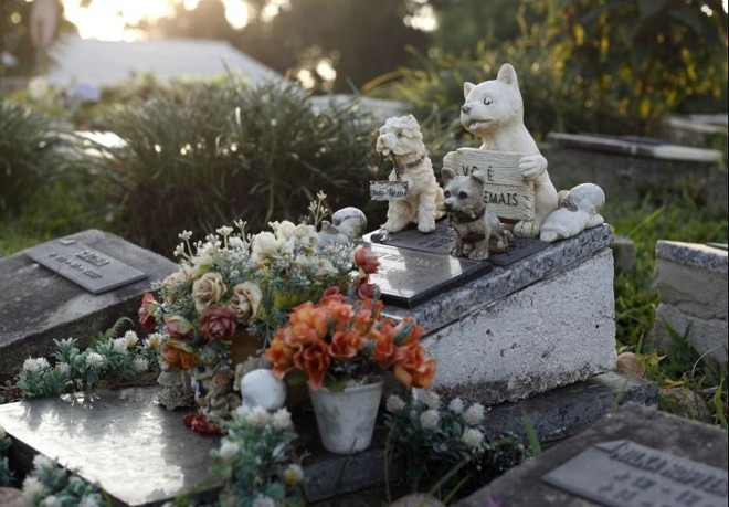 Projeto propõe sepultamento de pets em jazigos familiares em JP