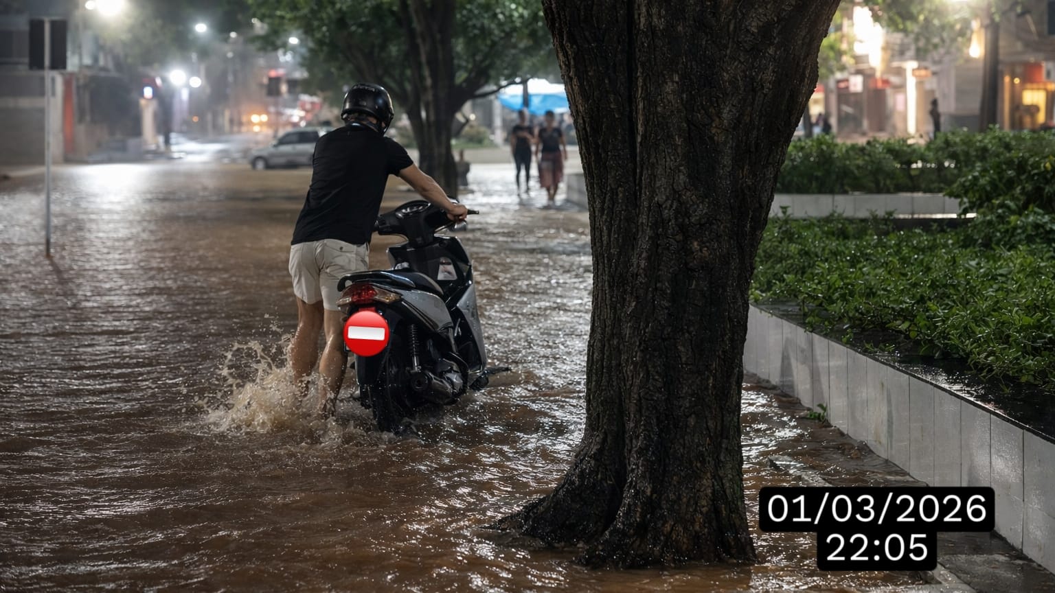 Passado ambiental de Guarabira explica alagamentos